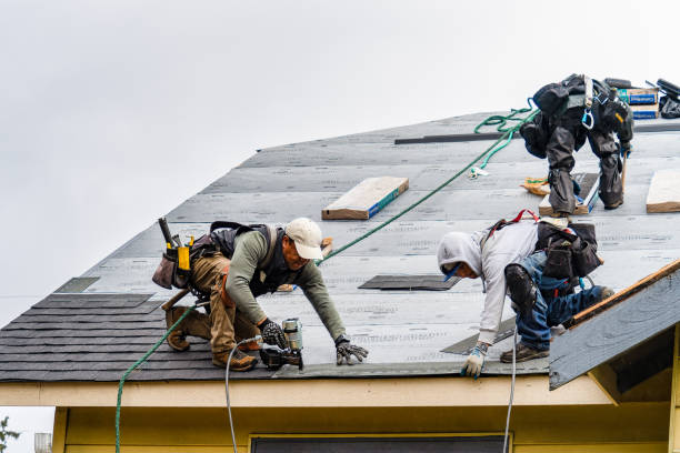 Professional Storm Damage Roof Repair technician working in Hurley, SD